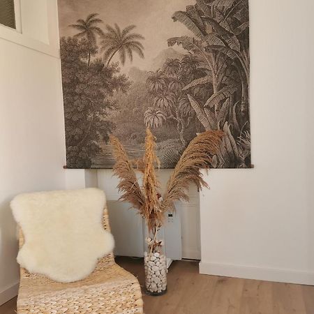 Le Studio Cosy - Labenne Exterior foto