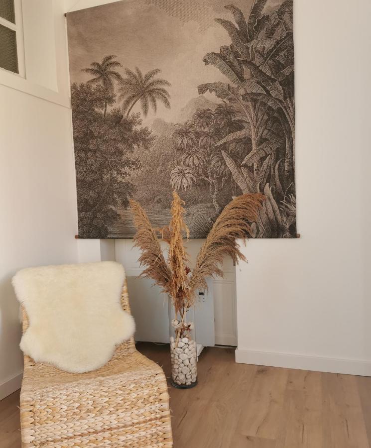 Le Studio Cosy - Labenne Exterior foto